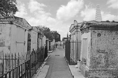 3 Common Types Of New Orleans Graves Livery Tours Blog