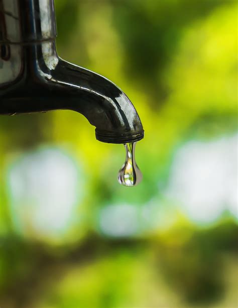 Water Dripping Drop Free Photo On Pixabay Pixabay