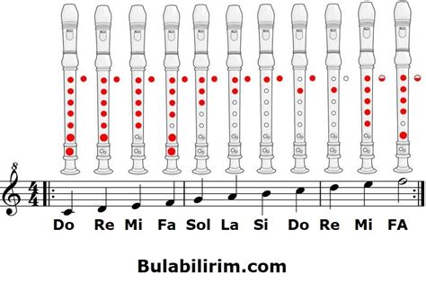 Blok Flüt Nota Yerleri Resimli Anlatım Bulabilirimcom