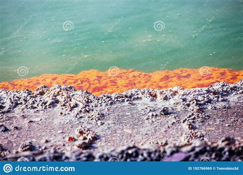 Geothermal Mud Pools Of Rotorua NZ Stock Image Image Of Lake