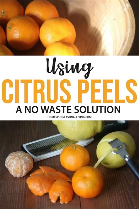 Using Citrus Peels A No Waste Solution