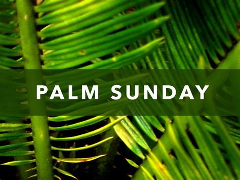 Palm Sunday Wallpapers Wallpaper Cave