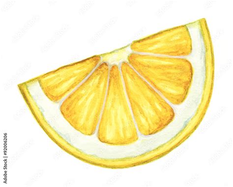 Watercolor Lemon Slice Isolated On White Background Hand Painted Clip