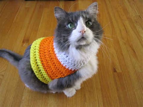 Adorable Outfits Diy Cat Clothing For Your Furry Friend