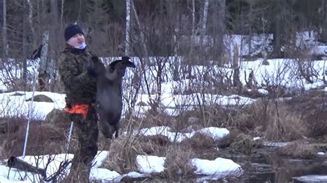 Majavan metsästys Beaver Hunting 2022 Jakso 1 YouTube