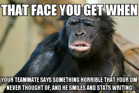 19 Funny Chimpanzee Meme That You Never Seen Before Memesboy