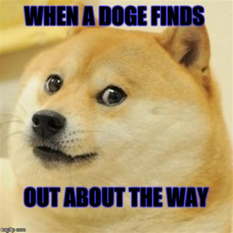 Doge Meme Imgflip