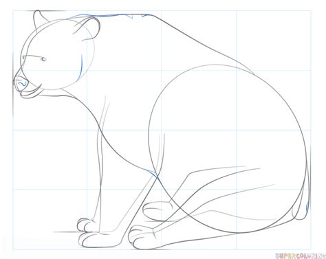 For the eye, just zoom and try to cop what i did there, because i simply have no idea how to explain that. How to draw a black bear | Step by step Drawing tutorials