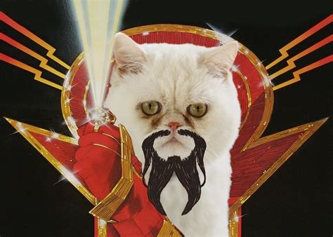 This Is Ming The Merciless And He Hates You So Much Cats