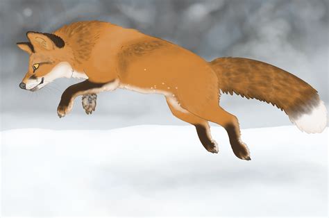 Fox Jump — Weasyl