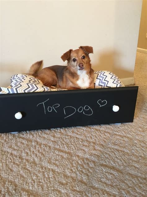 Izzy Showing Off A Pet Bed With Chalkboard Front Repurposed From An Old