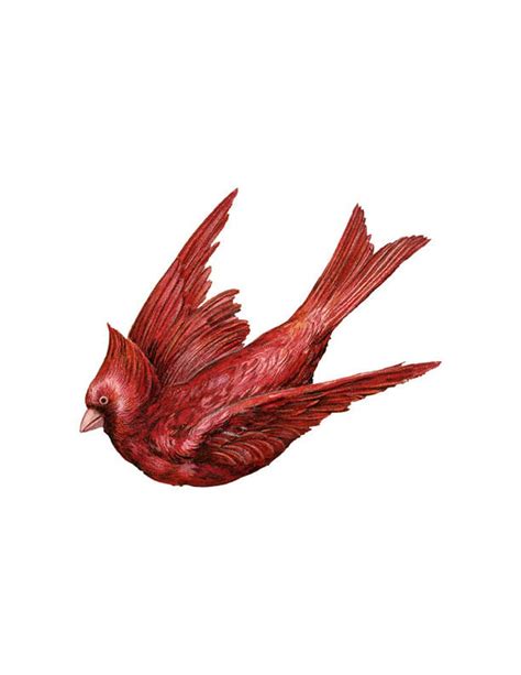 Flying Cardinal Png Red Bird Clip Art Transparent Background Etsy