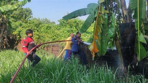 Lagi Lagi Karena Warga Bakar Sampah Jadi Pemicu Kebakaran Lahan Di