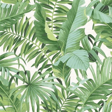 Baja Green Palm Jungle Tropical Leaf Wallpaper Brokers Melbourne Stock