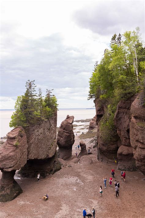 Hopewell Rocks New Brunswick East Coast Road Trip East Coast Canada Canada Destinations