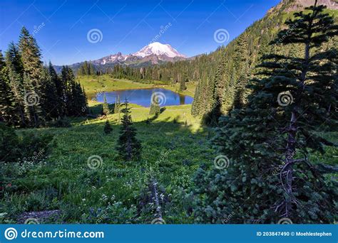 Morning On Tipsoo Lake Mt Rainier National Park Washington Stock
