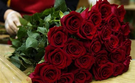 Happy Rose Day What Different Colours Of Roses Mean