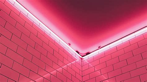Wallpaper Wall Light Pink Neon Xfxwallpapers