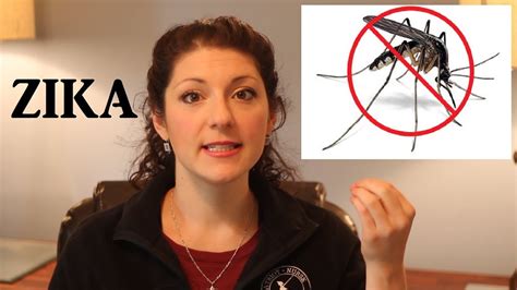 zika virus what you need to know youtube