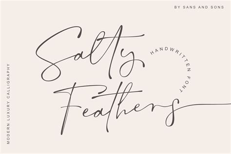 Salty Feathers Elegant Luxury Font Stunning Display Fonts
