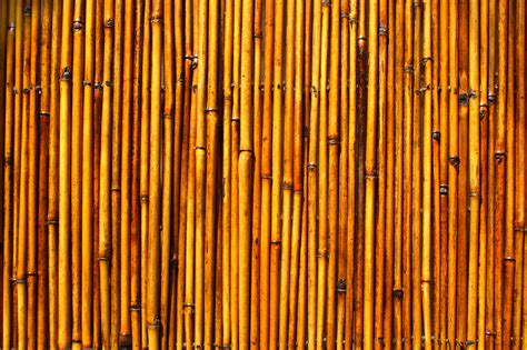 Bamboo Texture Download Photos Bamboo Texture Backgro
