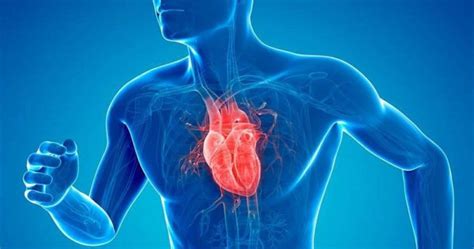 The 10 Most Common Cardiovascular Diseases 2023