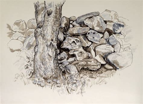 Pin By Djenny On How To Draw Realistic Trees Plants Bushes And Rocks