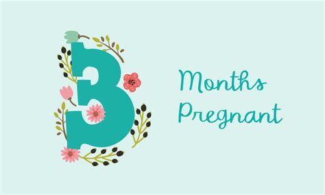 Tips To Follow During The Third Month Of Pregnancy Indian Parenting Blog