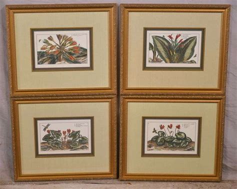 Set Of Framed Botanical Print R H Lee Co Auctioneers