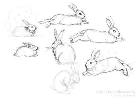 Fabled Earth The Art Of Emily Fiegenschuh Bunny Sketches