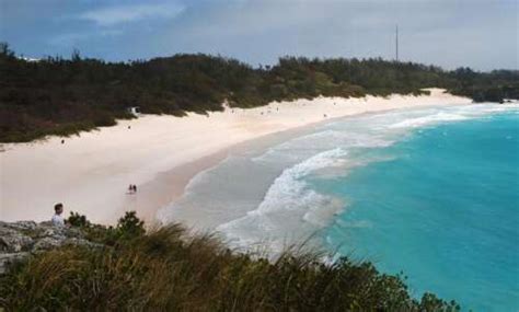 Sex On The Beach Police Investigate Raunchy Video Shoot The Royal Gazette Bermuda News