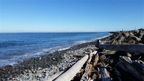 Ediz Hook Reserve Port Angeles All You Need To Know Before You Go