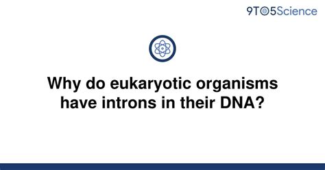 Solved Why Do Eukaryotic Organisms Have Introns In 9to5science