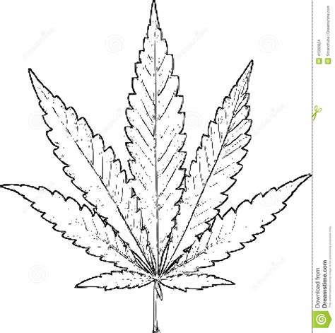 There is no need to look for a street artist, using this effect you can make a pecil drawing out of your photo. Marijuana stock illustration. Illustration of legalize ...