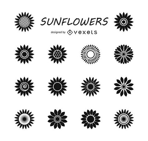 Set Of Sunflower Silhouettes Vector Download
