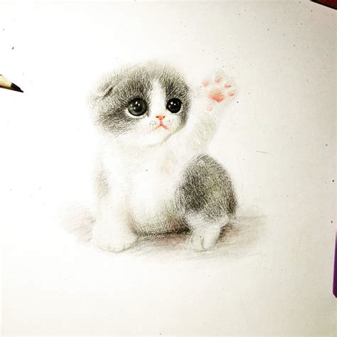 I Draw Furry Adorable Animals To Cure Unhappiness Bored