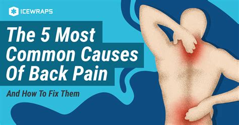 The 5 Most Common Causes Of Back Pain (And How To Fix Them) - IceWraps