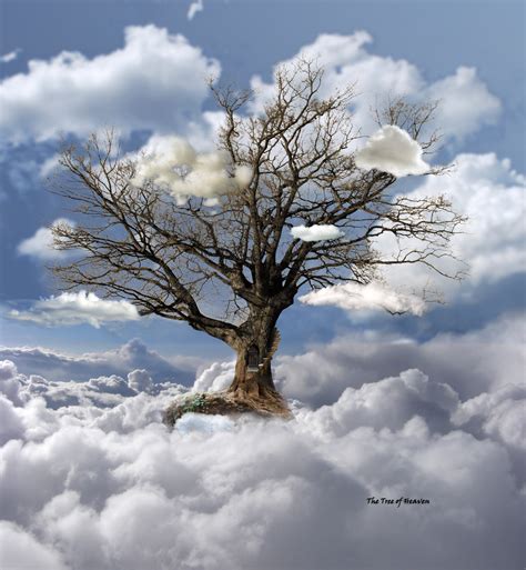 The Tree of Heaven by egypt04 on DeviantArt