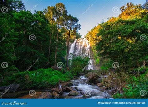 Beautiful Tropical Rainforest And Stream In Deep Forest Stock Photo
