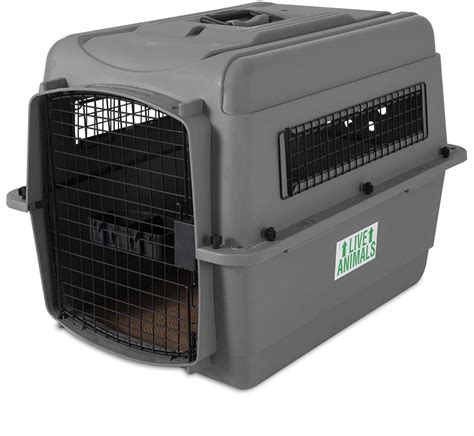 These Dog Travel Crates Are Ready To Go Wherever You Go