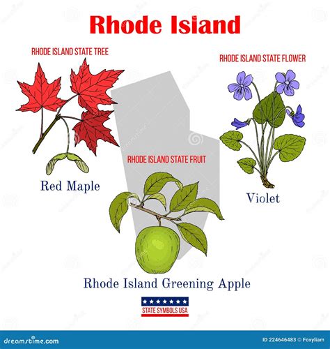 Rhode Island Set Of Usa Official State Symbols Stock Vector