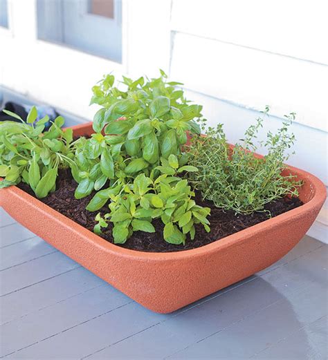 Double Walled Self Watering Herb Garden Planter With Fairy Garden