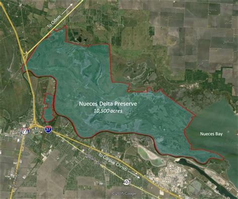 Nueces Delta Preserve Exceeds 10000 Acres After Purchase
