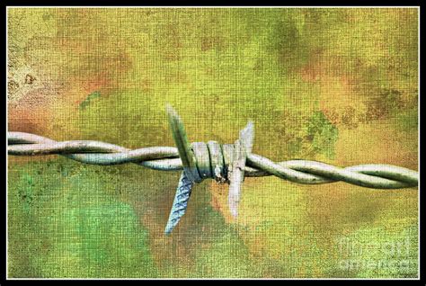 Barbed Wire 3 4 Photograph By Debbie Portwood Pixels