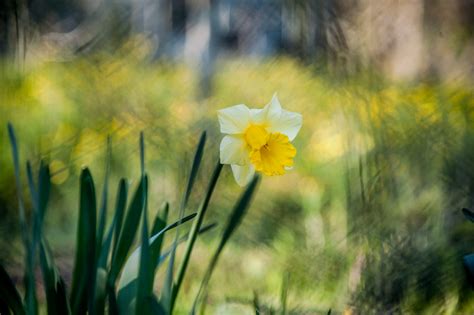 10 Signs Of Spring Arriving In Your Garden Or Outdoor Space