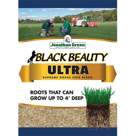 Jonathan Green 10321 Black Beauty Ultra Grass Seed Mixture 3 Lb