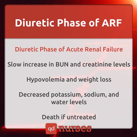 The 3 Phases Of Acute Renal Failure Nurses Should Know For The Nclex