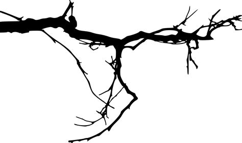 15 Simple Tree Branch Silhouettes Png Transparent