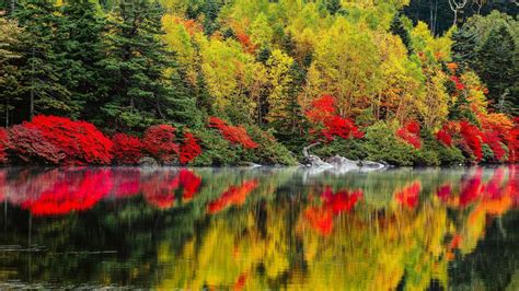 1920x1080 Forest Landscape Lake Nature Autumn Trees