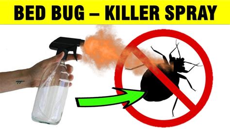 How To Make A Homemade Bed Bug Spray For Your House Naturally Youtube